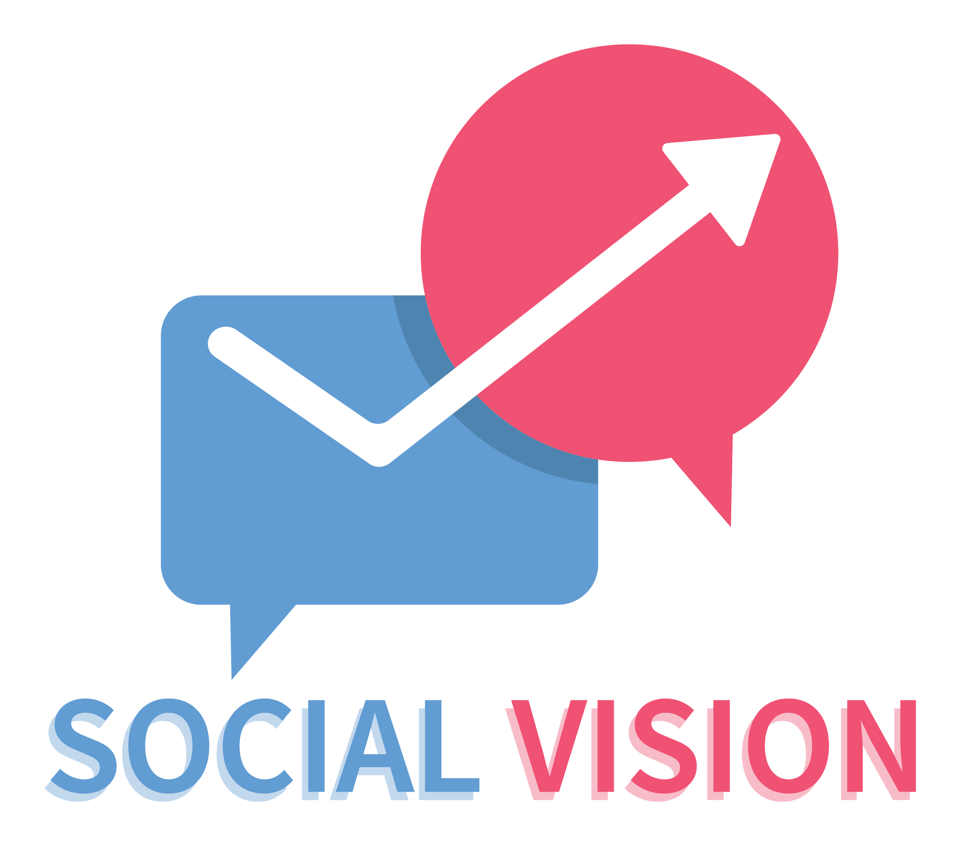 Social Vision logo